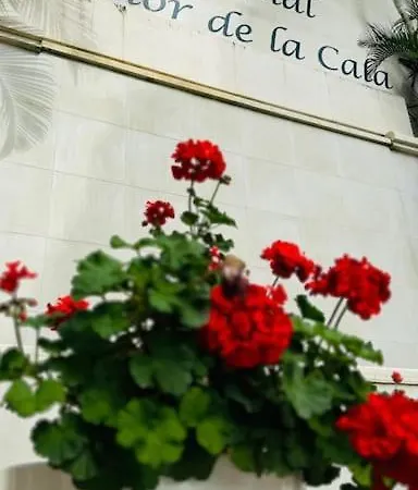 Mirador De La Cala